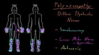 2021 Neuroscience Symposium Peripheral Polyneuropathy [upl. by Eelame]