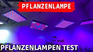 TEST Profi LED Pflanzenlampe vs billiges Amazon Grow Light  LED Pflanzenlichter Vergleich [upl. by Ientirb832]