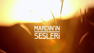 MARDİNİN SESLERİ  SOUNDS OF MARDIN 马尔丁声音 [upl. by Illa]