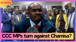 CCC MPs turn against Chamisa [upl. by Anaoy204]