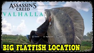 Assassins Creed Valhalla Big Flatfish Location [upl. by Norval688]