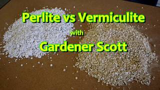 Perlite vs Vermiculite [upl. by Nnayllehs]