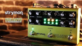 Strymon  VOLANTE Magnetic Echo Machine [upl. by Dnomar]