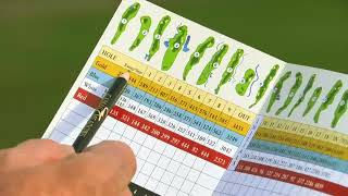 How to Read a Golf Scorecard [upl. by Tiffanle634]