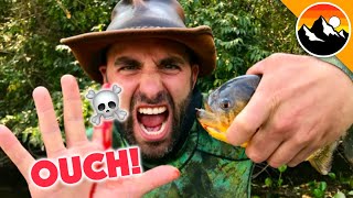 EATEN ALIVE  Human Hands vs Piranha [upl. by Caine]