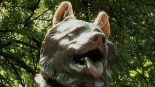 The Balto Statue of Central Park  Antiques Roadshow [upl. by Magdala]