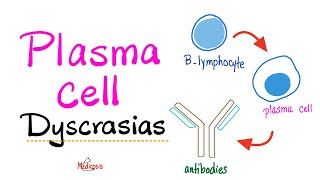 Multiple Myeloma Waldenström macroglobulinemia MGUS MGRS  Plasma Cell Dyscrasias  Introduction [upl. by Sesom210]