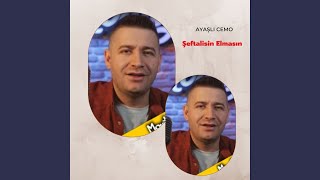 Şeftalisin Elmasın [upl. by Curtis]