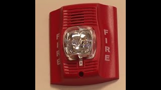 10 HOUR SCHOOL FIRE DRILL ALARM SOUND [upl. by Ahtreb]