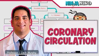 Circulatory System  Coronary Circulation [upl. by Lahsiv]