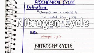 Nitrogen cycle  Nitrogen fixation [upl. by Aicenev]