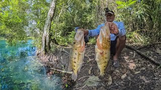 Pescando grandes peces y cocinando un caldo PESCA Y COCINA 2024 [upl. by Naot]