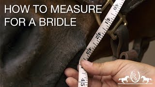 How to Measure for a Bridle [upl. by Rettuc]