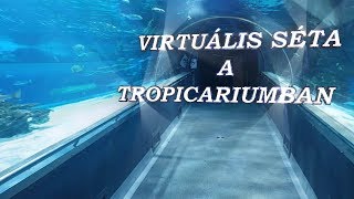 Virtuális séta a Tropicarium [upl. by Gardell]