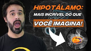 HIPOTÁLAMO MAIS INCRÍVEL DO QUE VOCÊ IMAGINA [upl. by Broddy]