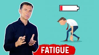 What Causes Fatigue – Dr Berg [upl. by Renckens]