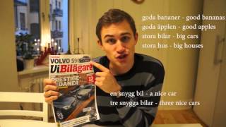 Learn Swedish Lesson 7 Adjectives [upl. by Brena]