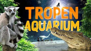 TropenAquarium Hagenbeck Hamburg  Zoo Eindruck [upl. by Nwahsat70]