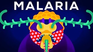 Genetic Engineering and Diseases – Gene Drive amp Malaria [upl. by Henig]