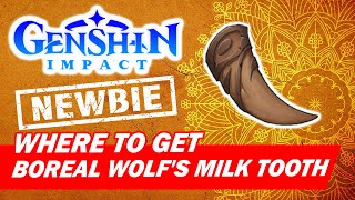 How to get Boreal Wolfs Milk Tooth  Genshin Impact for BEGINNER [upl. by Ahsemit522]