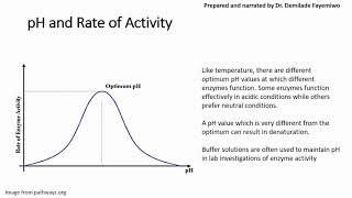 Chapter 32 Factors that Affect Enzyme Activity [upl. by Ynatirb]