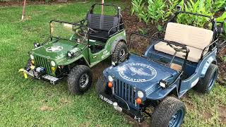 Mini Jeep review [upl. by Toole351]