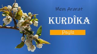 Mem AraratPayîz  Official video [upl. by Eduj276]