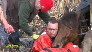 Dramatic horse rescue in North Smithfield RI [upl. by Haidedej175]