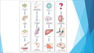 Pathology  Introduction and disease nomenclature [upl. by Milla]