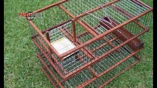 Trampera Multicaptura Sistema Molino quotSpiritquot  Multi Catch Bird Trap [upl. by Xela296]