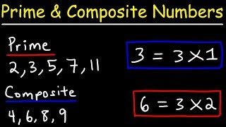 Prime Numbers and Composite Numbers [upl. by Judy]