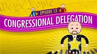 Congressional Delegation Crash Course Government and Politics 13 [upl. by Apostles633]