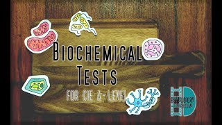 ALevel Biology  Biochemical Tests [upl. by Lachlan378]