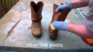 Remove mold from leather cowboy boots [upl. by Marita]