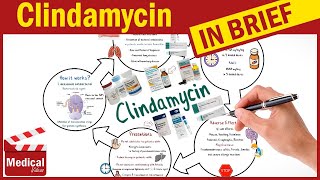 Clindamycin  Cleocin  What is Clindamycin Used For Dosage Side Effects amp Precautions [upl. by Meli]