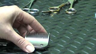 Pet Grooming Hand Tools for the DoItYourself Dog Groomer [upl. by Eirelav]