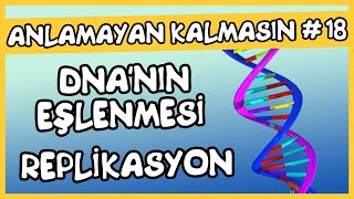 Anlamayan Kalmasın 18 DNA nın Eşlenmesi  Replikasyon [upl. by Bevash]