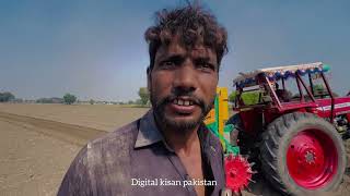 Potato Farming with MF 385 Tractor in punjab pakistan [upl. by Cob564]