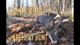 Camp Ripley Archery Hunt BUCK DOWN [upl. by Chisholm]