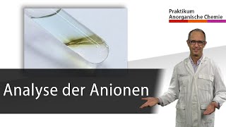 Analyse der Anionen  Praktikum Anorganische Chemie [upl. by Chip]