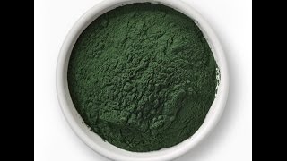 Chlorella TRUTH  The REAL Health Benefits of Chlorella [upl. by Annaej]