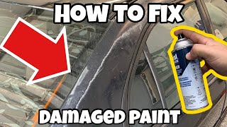 The CHEAPEST Way to Permanently Fix Peeling Paint [upl. by Sitelc944]