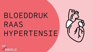 Bloeddruk RAAS en hypertensie [upl. by Eeldivad]