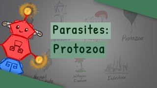 Parasites Protozoa classification structure life cycle [upl. by Echo64]