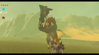 【ゼルダの伝説 ブレス オブ ザ ワイルド】 ライネル オマエ タオス [upl. by Odlonyer]