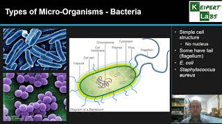 Types of MicroOrganisms [upl. by Moonier]