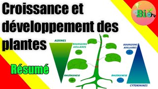 phytohormones petit résumé  croissance et développement des plantes [upl. by Tzong]