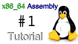 x8664 Linux Assembly 1  quotHello Worldquot [upl. by Wilbur642]