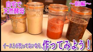 【自家製酵母】天然酵母の作り方：レーズン酵母・フルーツ酵母 〜前編〜How to make the natural yeast難易度★ [upl. by Latonia]