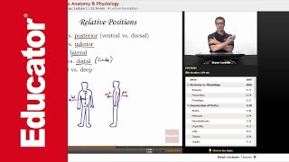 Introduction to Anatomy and Physiology [upl. by Airbas]